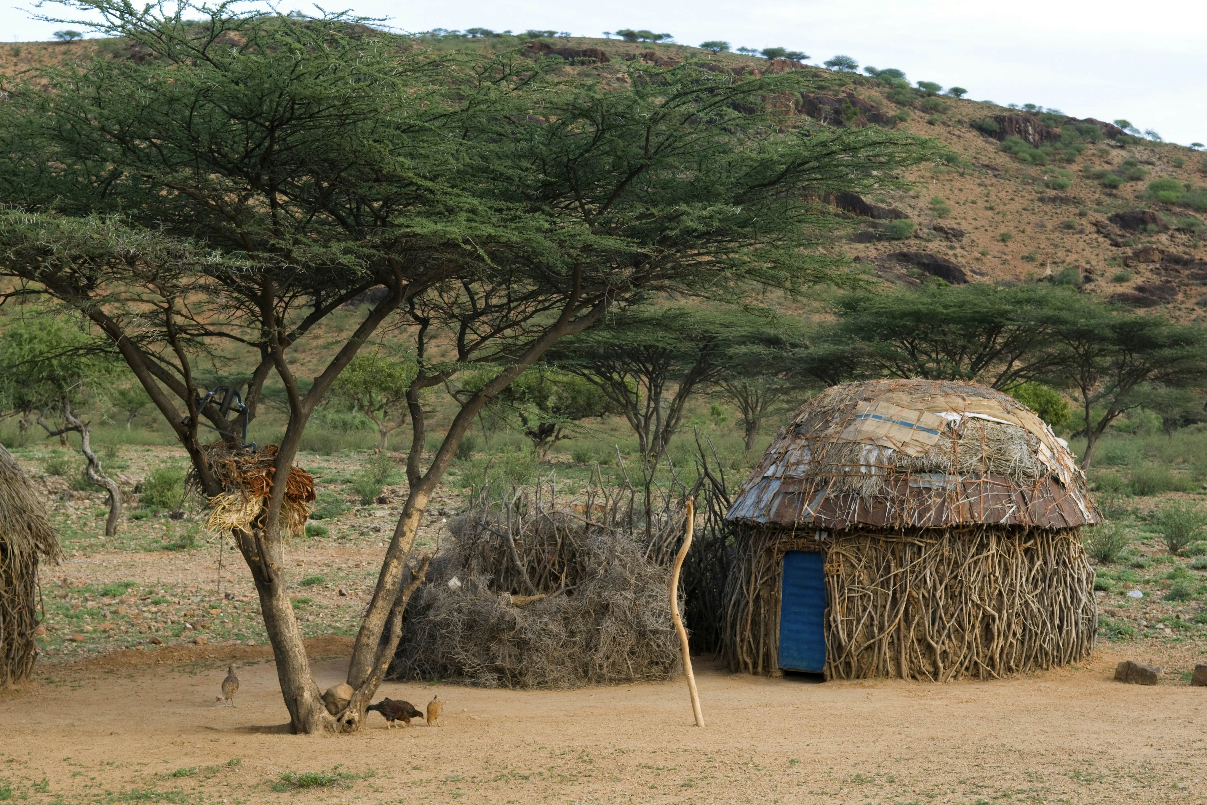 Turkana homestead, Kenya